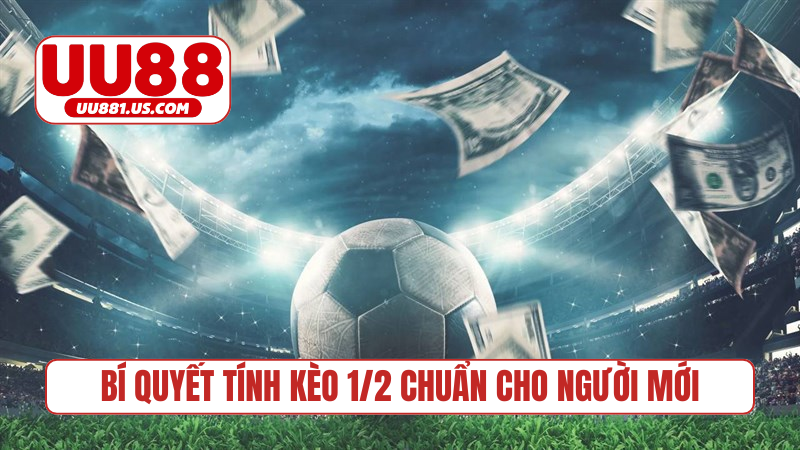 Bí quyết tính kèo 1/2 chuẩn cho người mới