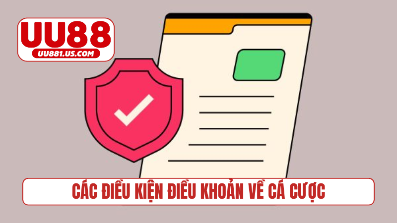 Các điều kiện điều khoản về cá cược