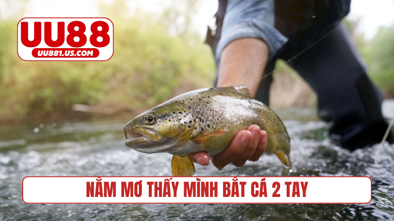 nằm mơ thấy mình bắt cá 2 tay